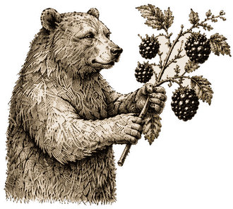 The Forager bear gathering for Autumn Forager Gin