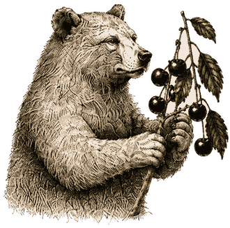 The Forager bear gathering for Manhattan