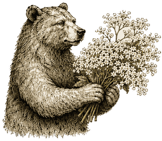 The Forager bear gathering for Summer Forager Gin