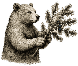 The Forager bear gathering for Winter Forager Gin