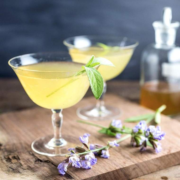 The Bee's Knees, made with gin and wildflower honey