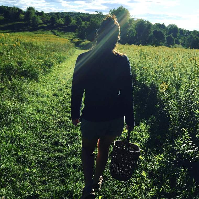 Walking a mown path through a Berkshire meadow with a foraging basket