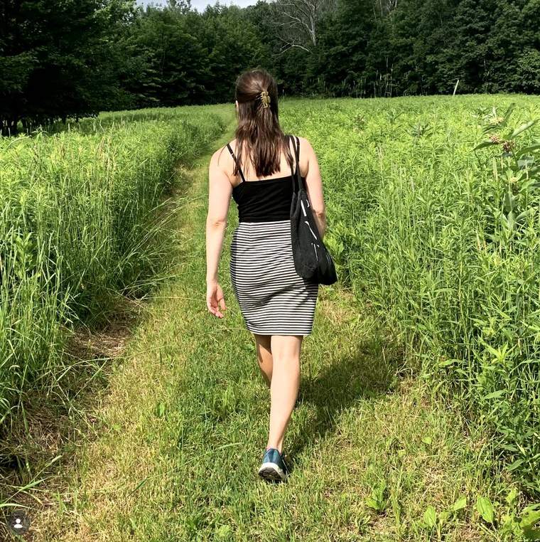 Walking out to forage in a Berkshire meadow